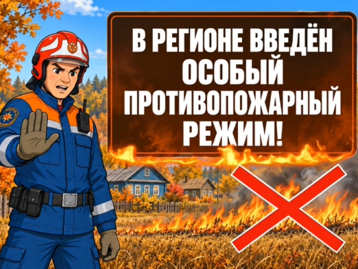В регионе введен особый противопожарный режим.